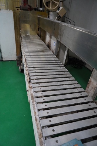 Discharge Conveyor